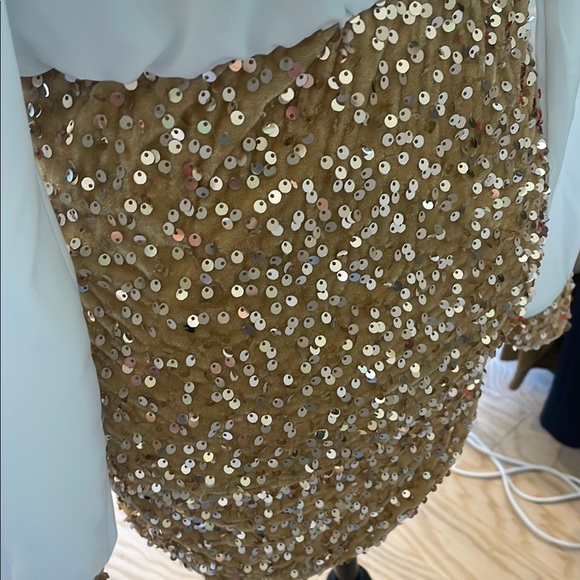White Blouse with Gold Sequin Skirt - Picture 5 of 5
